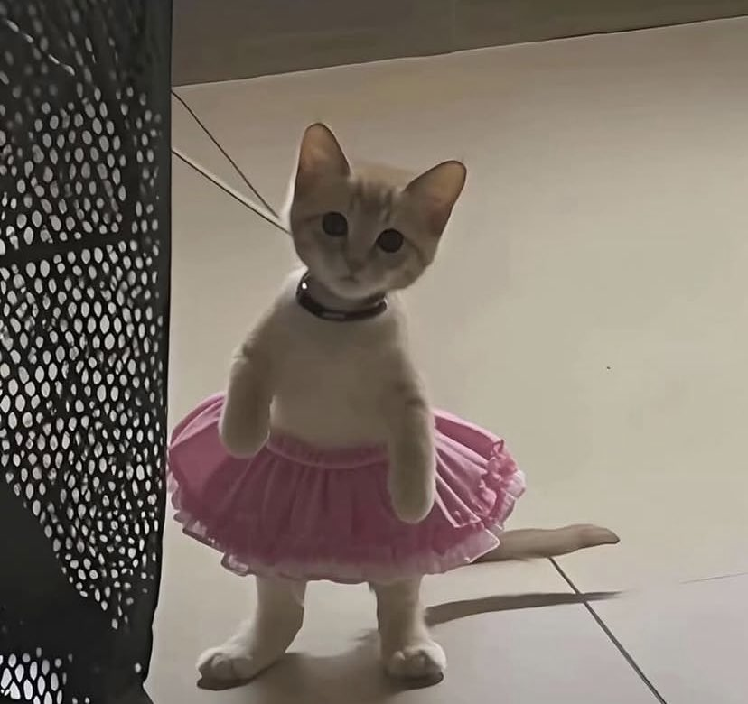 IMG-0187CF71B8111B5DAC91D43FE53BF99C