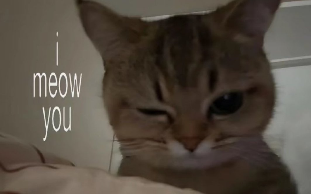 IMG-8CC93AB4E3FAD972BCDF049C8A100E6B