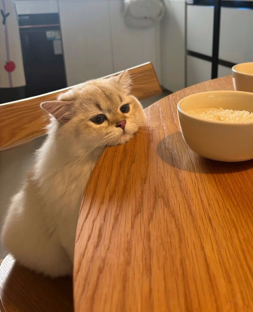 IMG-CE5A15A6A4FD83171688A87A51A3CF74